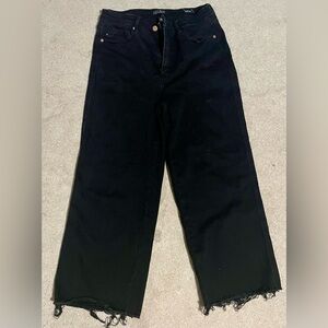 Judy Blue Black Wide Crop Pants